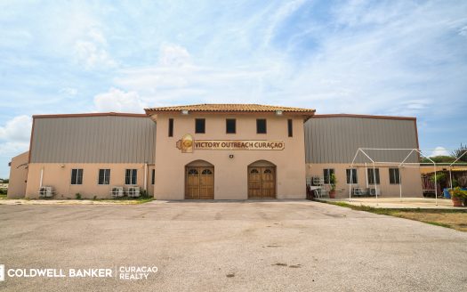 Paradise Horse Ranch in the Heart of the Dominican Republic