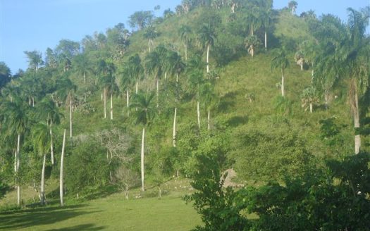 Large residential plot Sosua
