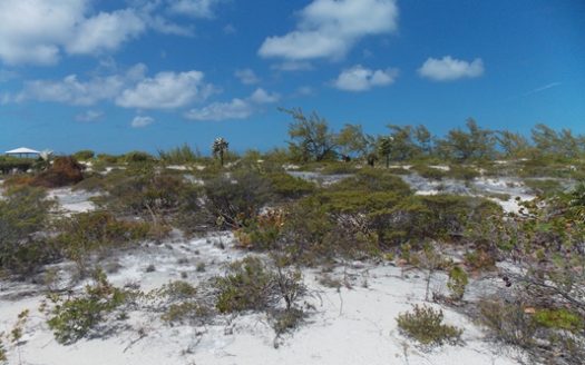 Beautiful Beach Front Lot