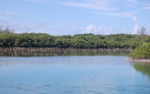 SOLD Waterfront Lot Spanish Wells