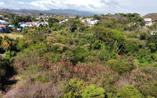 Residential Lot 2 LAE