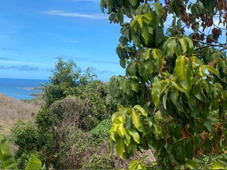 Lasagesse Land for Sale