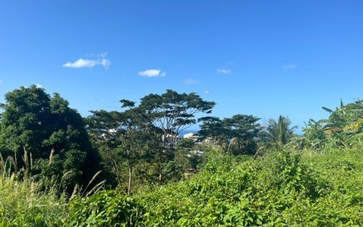 Mt. Moritz- Church Street