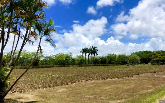 LOT FOR SALE IN SEA HORSE RANCH