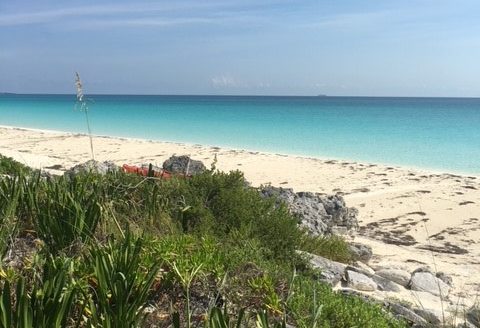 Great Harbour Cay Lot 37, Block 13