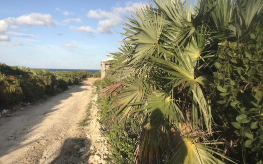 Single Family Vacant Lot