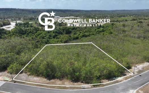 Gorgeous Residential Lot in Cap Cana: Build Your Dream Home in Elite Location