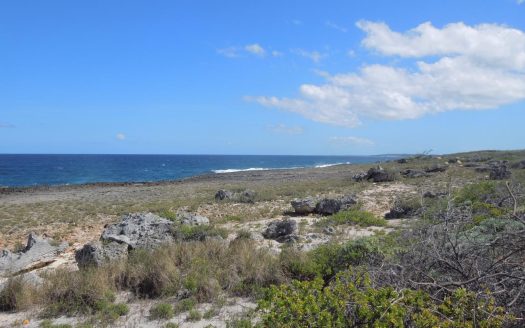 Eleuthera Waterfront Property For Sale