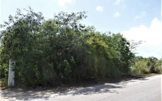 Deadman’s Cay Lot For Sale