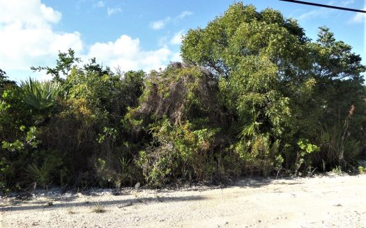 Long Island Lot For Sale