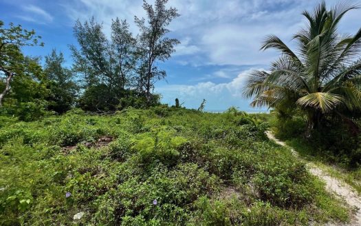 South Bimini Beachfront Lot For Sale