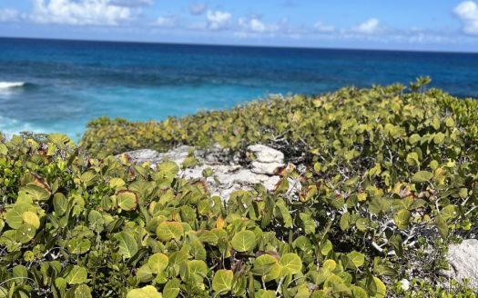 Long Island Ocean View Acreage