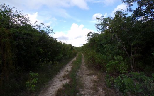 Long Island Vacant Lot For Sale