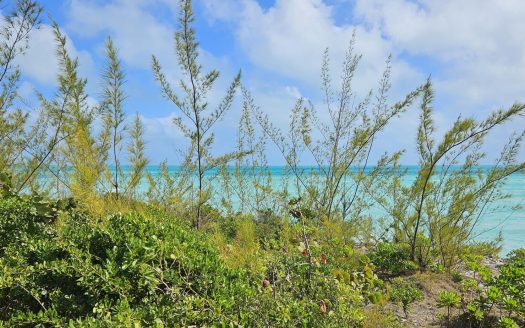 North Eleuthera Lot For Sale