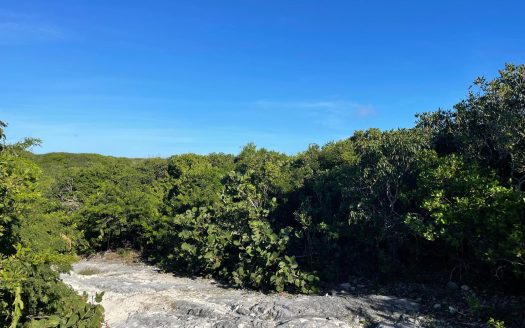 Eleuthera Lot For Sale