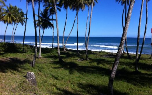 Land for sale Las Canas