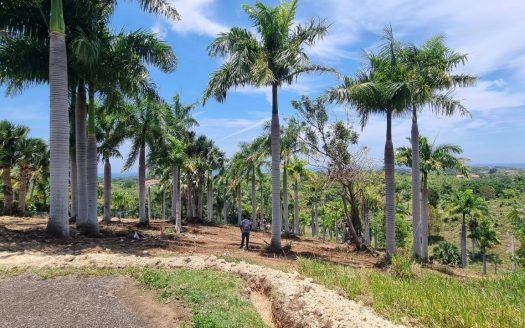 Large lot panoramic views