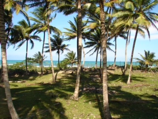 Perfect Land for Beachfront Development in Sabaneta for Sale