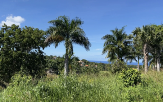 Ocean view Residential land in a luxury gated community in Sosua for sale