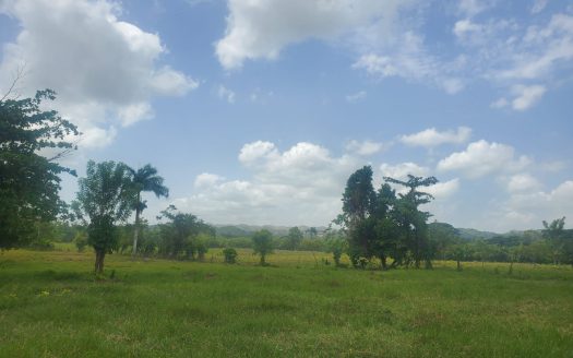 Riverside lots in Veragua!